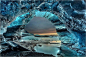 [冰洞探奇 冰冷的美丽] 冰岛的冰洞(Ice Caves)就隐藏在欧洲最大的冰川——瓦特纳冰原之下，冰洞的外观乍看之下与一般的岩石洞穴无异，但走进去你将会觉得彷佛走入神秘的冰之王国，任何人都会被它那冰冷却绚丽、神秘又迷幻的壮丽绝景给震慑到忘记呼吸。一个岩洞的产生可能需要几百年的时间;但一个冰洞的出现只需要几个月到几年，那是冰川融冰与冰川本身交互作用下生成的天然奇景。由于冰川的流动、融化的冰水加上季节交替，冰洞内壁在不停融化与反复凝结的过程中形成如此美丽神奇地迷人风采，而且还在......