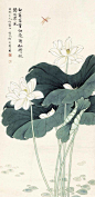 工笔花卉 荷花 莲花 