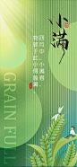 小满节气海报 - 源文件