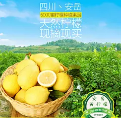 华柠四川安岳黄柠檬新鲜水果一级中大果700克柠檬6-7个装包邮-tmall.com天猫