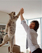 give me five