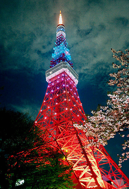 东京铁塔夜景。梦一样