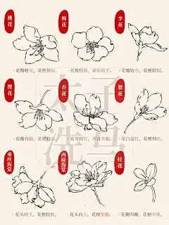 国画入门｜常见小瓣花卉画法合集第1弹‼️