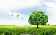 大树 壁纸的 搜索结果_360图片