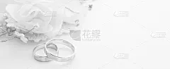 贺卡,婚礼,白色背景,全景,结婚戒指,国境线,蜜月,玫瑰,请柬