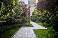 景观—空间-园路