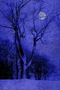Winter Night
好美的夜  静谧  空灵