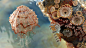 beach deep sea jelly fish Ocean reef sea summer water Whale mistery