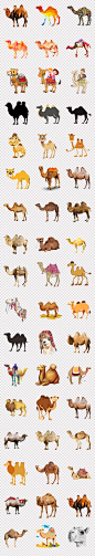 可爱卡通骆驼手绘沙漠骆驼一带一路背景PNG素材