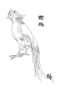 山海經-鸞鳥：西南三百里，曰女床之山，其陽多赤銅，其陰多石涅，其獸多虎豹犀兕。有鳥焉，其狀如翟而五彩文，名曰鸞鳥，見則天下安寧。