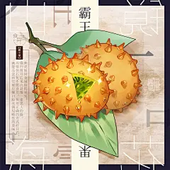H102-《山海镜花》