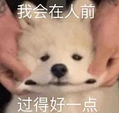 聊天表情包又出来新的了搞笑沙雕表情​​​