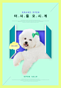 15款宠物简约时尚海报banner素材PSD源文件打包下载