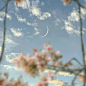 @墨茨收集#朋友圈#QQ#背景图#头像#