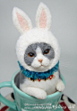 羊毛毡作品「不思议之国的喵丽丝」，将于3月13日~19日开催的『銀座☆猫まっしぐら展』进行展示。 ​​​​