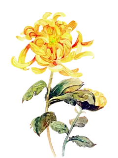 #重阳节#