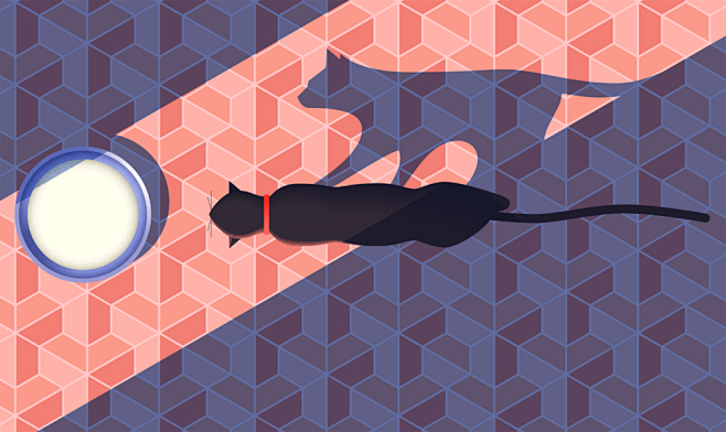 Site Header - Picame
