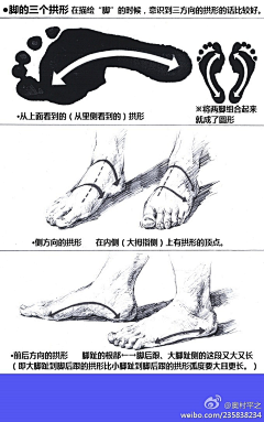 困╯﹏╰采集到脚的画法