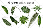 PNG免抠图 剪贴图热带植物龟背叶绿叶矢量图EPS设计素材-淘宝网
