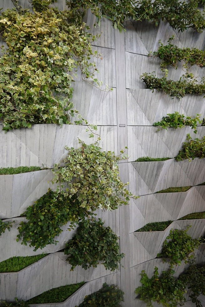 Green wall