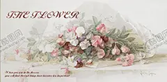 手绘鲜花插画 【酷图网】花的世界,玫瑰,爱情,美丽,花朵,粉色,广告,海报,72DPI,PSD,其他,150DPI