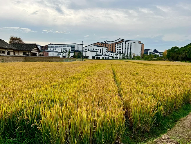 田园乌村