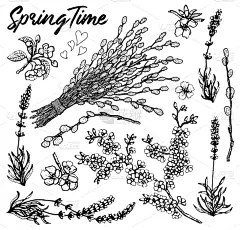 嫩枝,柳树,可爱的,熏衣草,华丽的,复活节,贺卡,自然美,花,布置