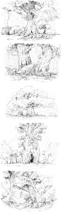 Tree collection on Behance: