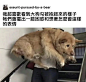 妈咪力气超大的 - 小红书