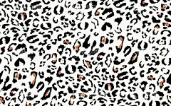 豹纹  - 源文件下载【酷图网】豹纹,女装,大牌,数码印花,外单,欧美