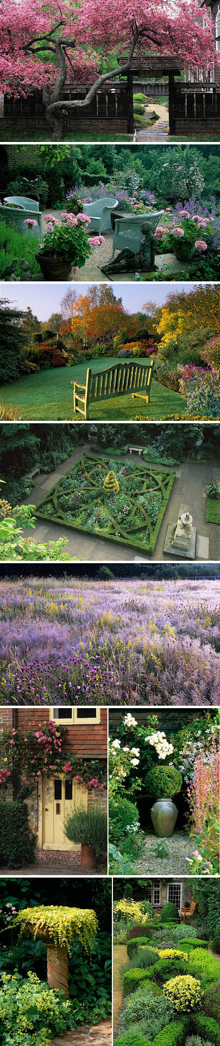 【英式乡村花园】在英国花园摄影行业中也是...