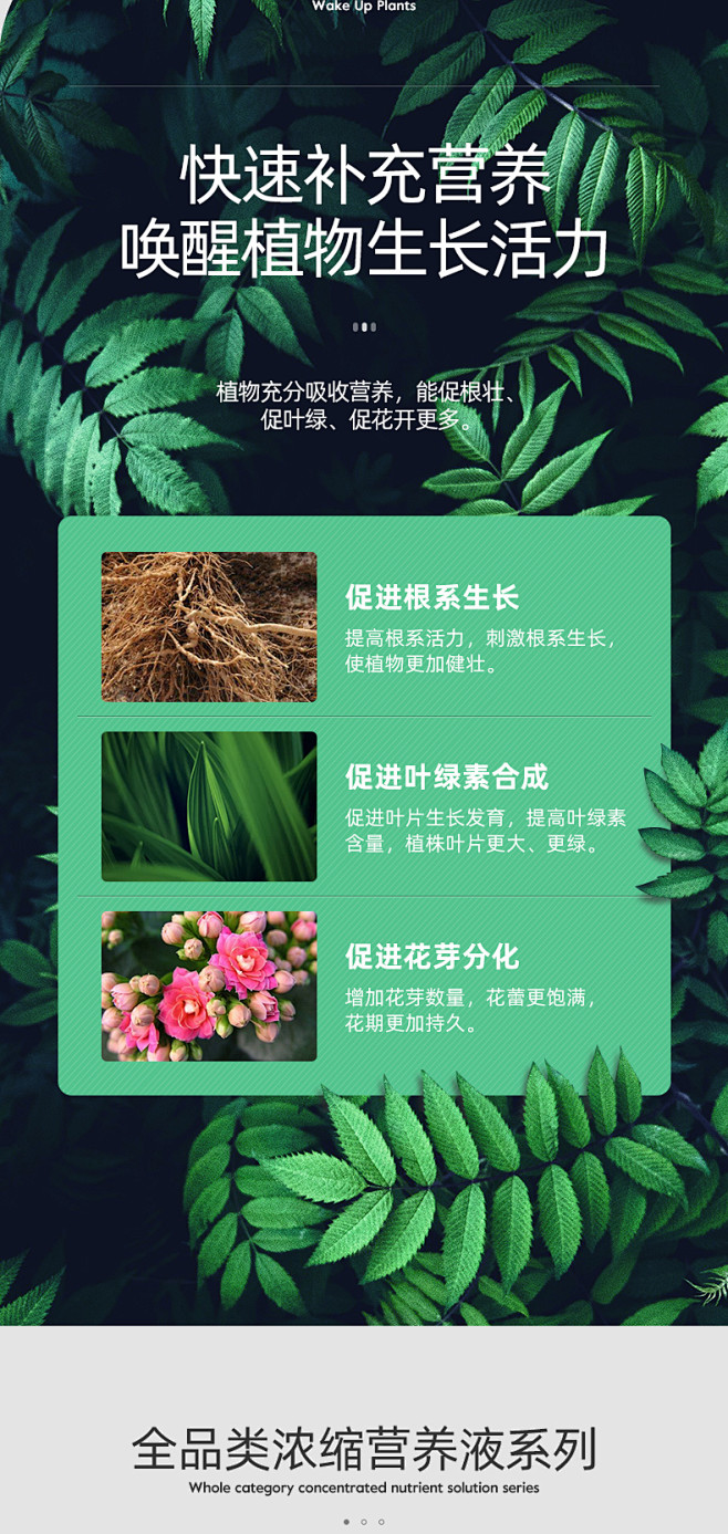 营养液花肥花肥料花卉养花家用通用型绿萝植...