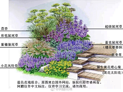 Littleblue采集到植物
