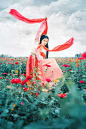 百花仙