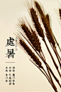 处暑