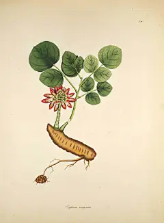 【淘宝：甜茶的日记】4 (223)