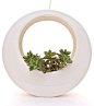 The Circle Pot by Potted, White modern outdoor planters