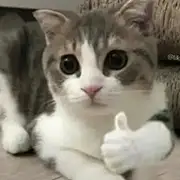 重生之我在上海赚大钱