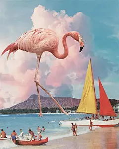 樱桃跳舞煎饼上，鲜花长腿鱼会飞……拼贴艺术的魔幻现实梦境 : 樱桃跳舞煎饼上，鲜花长腿鱼会飞……拼贴艺术的魔幻现实梦境,