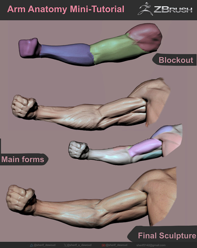 Anatomy Mini-Tutoria...