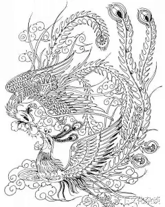 工笔画白描《凤凰图》