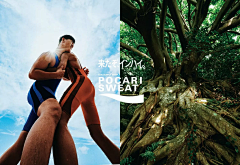 -Lina_采集到平面/版式/海报