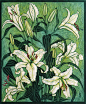 Exotic Flowers 1 - Linocuts : Linocuts by artist Rachel Newling of exotic flowers: Tropical Ginger, 
Frangipani, Hibiscus, Strelitzia, Torch ginger, Heliconia, Oriental Lily, 
Iris, Coral tree, cactus flower & Tulip. Linocuts are for sale as limited 
