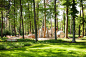 巴特利普施普灵格森林公园 / SINAI – mooool木藕设计网