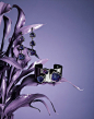 Open Space Paris - BARBARA DONNINELLI - JEWELRY : Open Space Paris - BARBARA DONNINELLI - JEWELRY