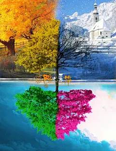 芳菲四季海报