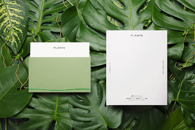 Planta