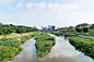 【EADG出品】重塑河道生命系统丨深圳茅洲河碧道·光明段生态修复试点