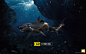 X0285-1海洋生物创意合成(3000×1880PX)<a class="text-meta meta-mention" href="/w525208985/">@花田错A</a><br/>高清合成参考、高清小景合成、高清影视海报、高清素材、高清设计灵感、高清产品精修、综艺海报、电商页面、主题页面、免抠素材、创意合成(品类)、创意合成(色系)、字体设计、板式设计、免抠活动标题、手绘素材、手绘参考、设计教程、电商海报、淘宝海报、淘