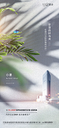 小暑海报-源文件